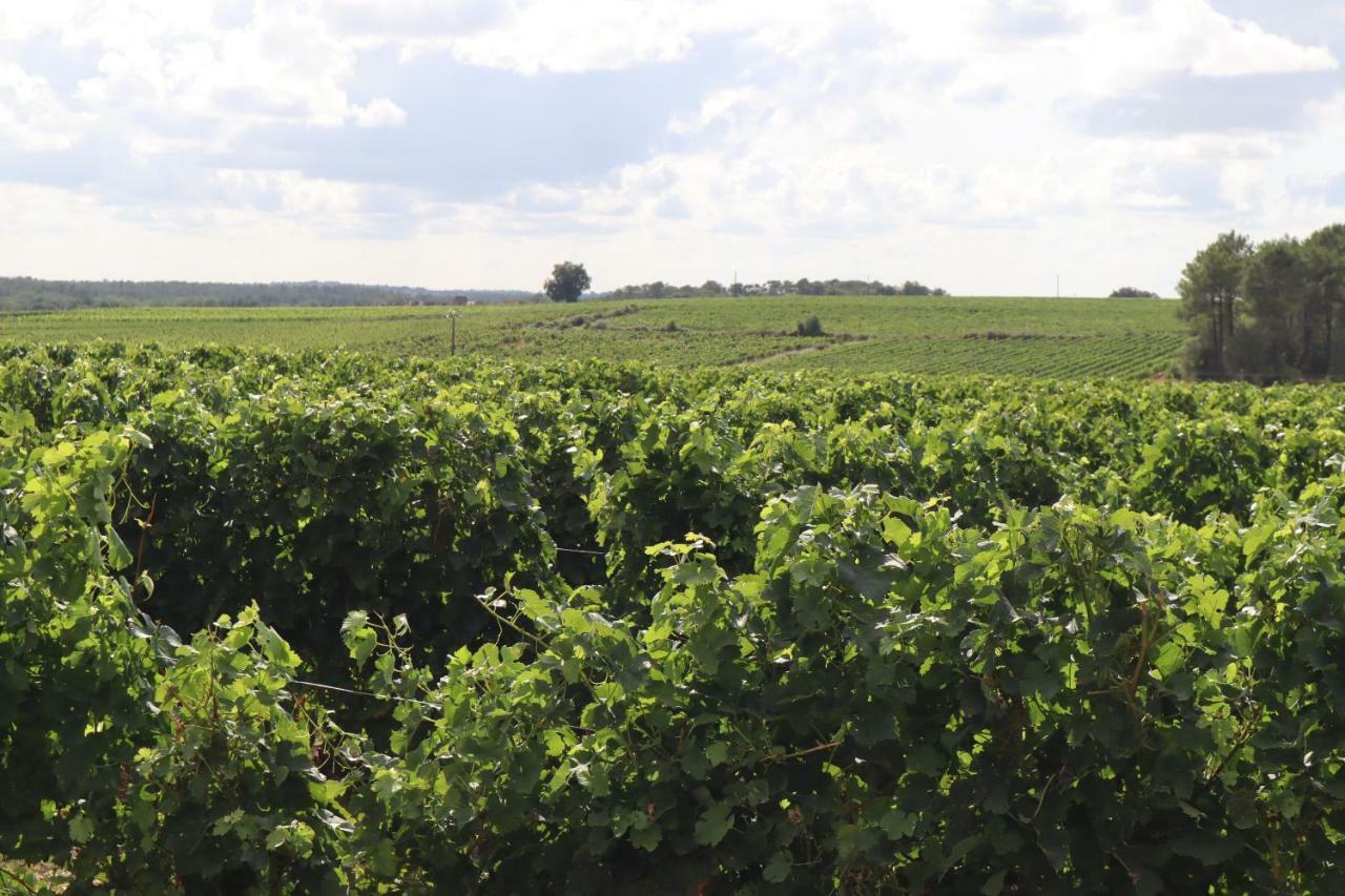 Domaine Des Tilleuls Val-de-Livenne Екстер'єр фото